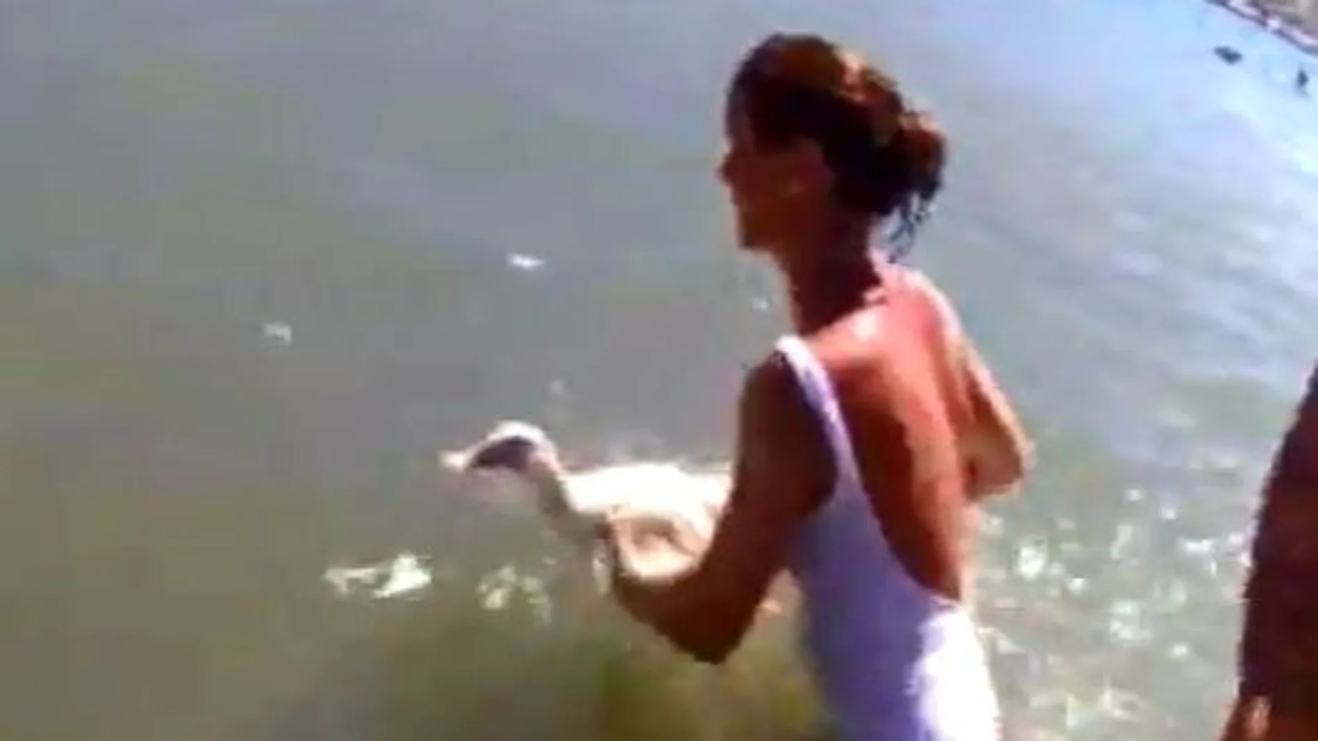 Un vídeo aviva la polémica sobre la «fiesta de los patos» en Roses