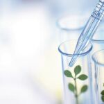 Biotecnología: España ante el reto de subirse a la modernidad