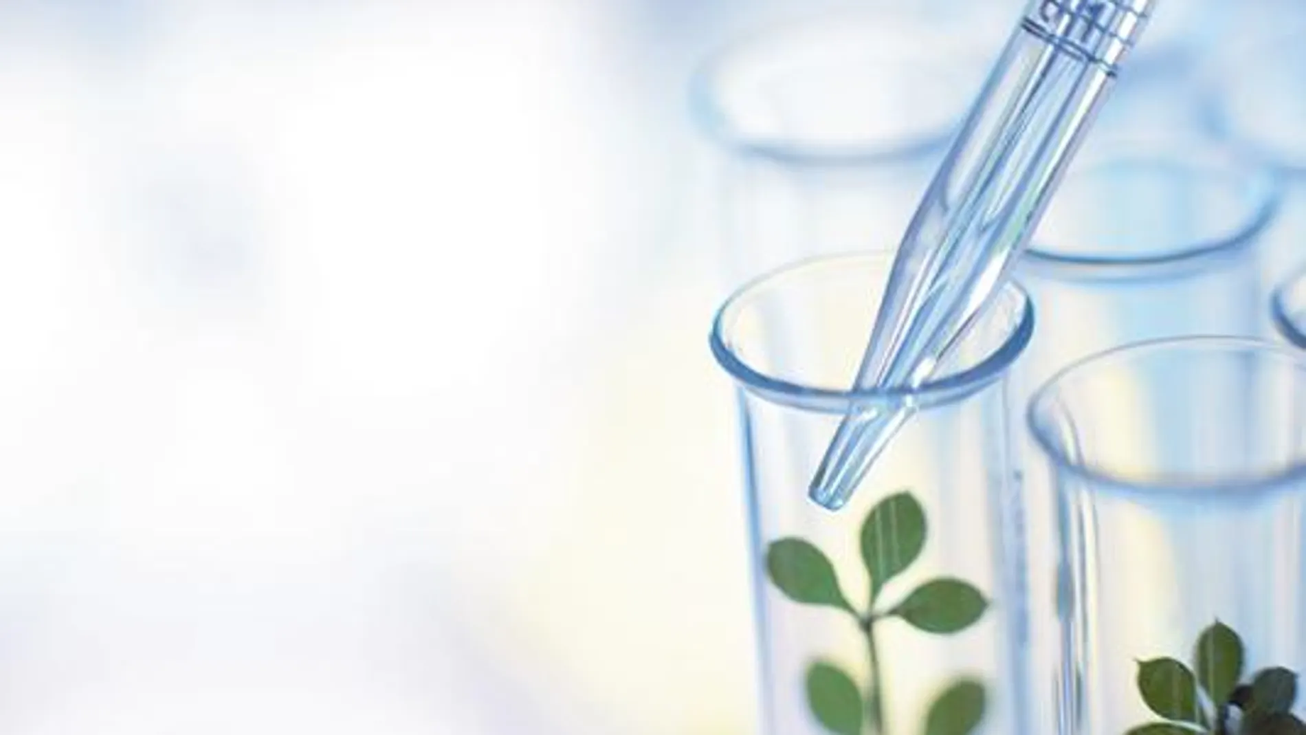 Biotecnología: España ante el reto de subirse a la modernidad