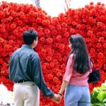 Solos en San Valentín: consejos para sobrevivir a la «fiesta del amor»