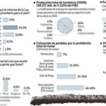 PULSE EN «DOCUMENTO» PARA DESPLEGAR EL GRÁFICO A SU TAMAÑO