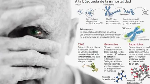 Cómo vivir 140 años