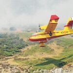 Últimos trabajos de vigilancia y de control del incendio de Arenas de San Pedro