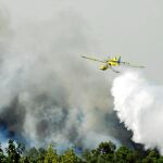 El incendio en Vilopriu (Girona) del pasado mes de julio calcinó 124 hectáreas y tardó tres días en controlarse