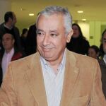 El presidente de los populares en Andalucía, Javier Arenas