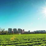 Valencia todavía cuenta con importantes espacios de huerta que sufren la presión de la expansión de la ciudad