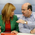 Pajín: «El PSOE bajará los sueldos de sus altos cargos más que los de los funcionarios»
