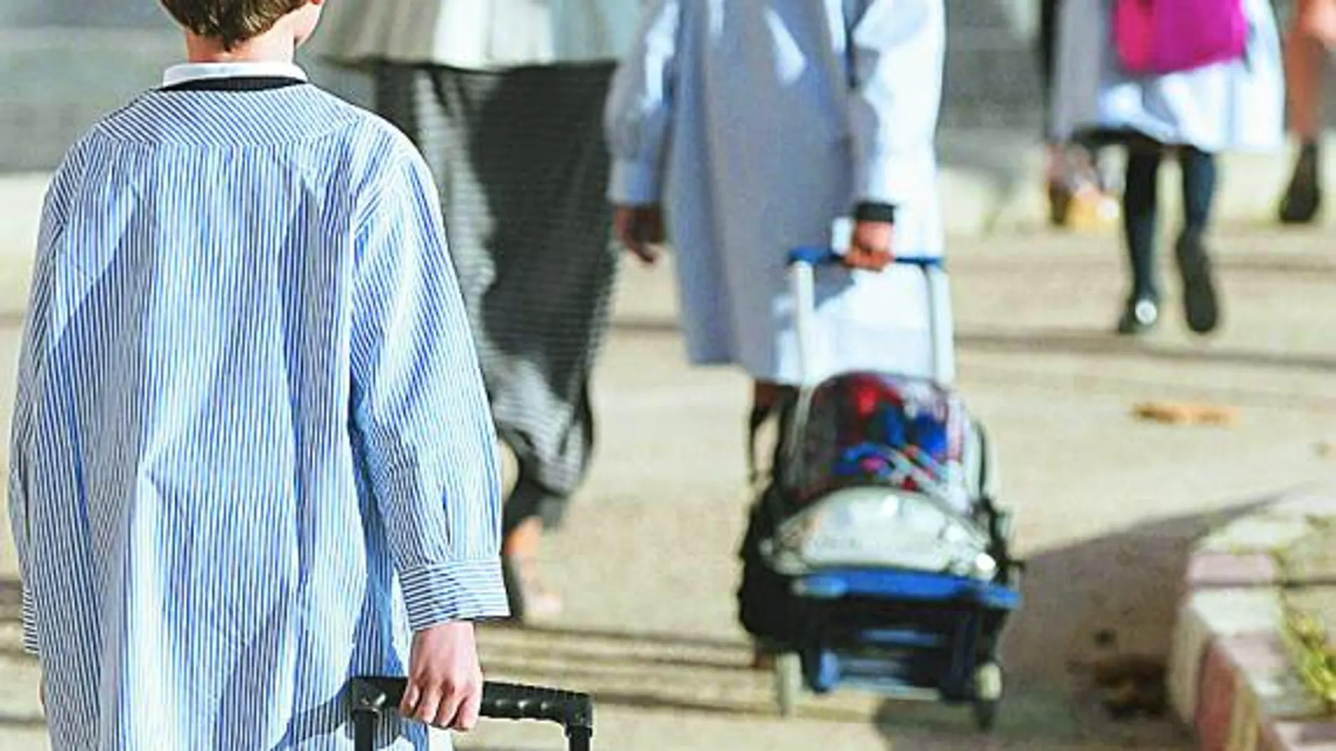 La madre del alumno ha sido condenada a un año de cárcel