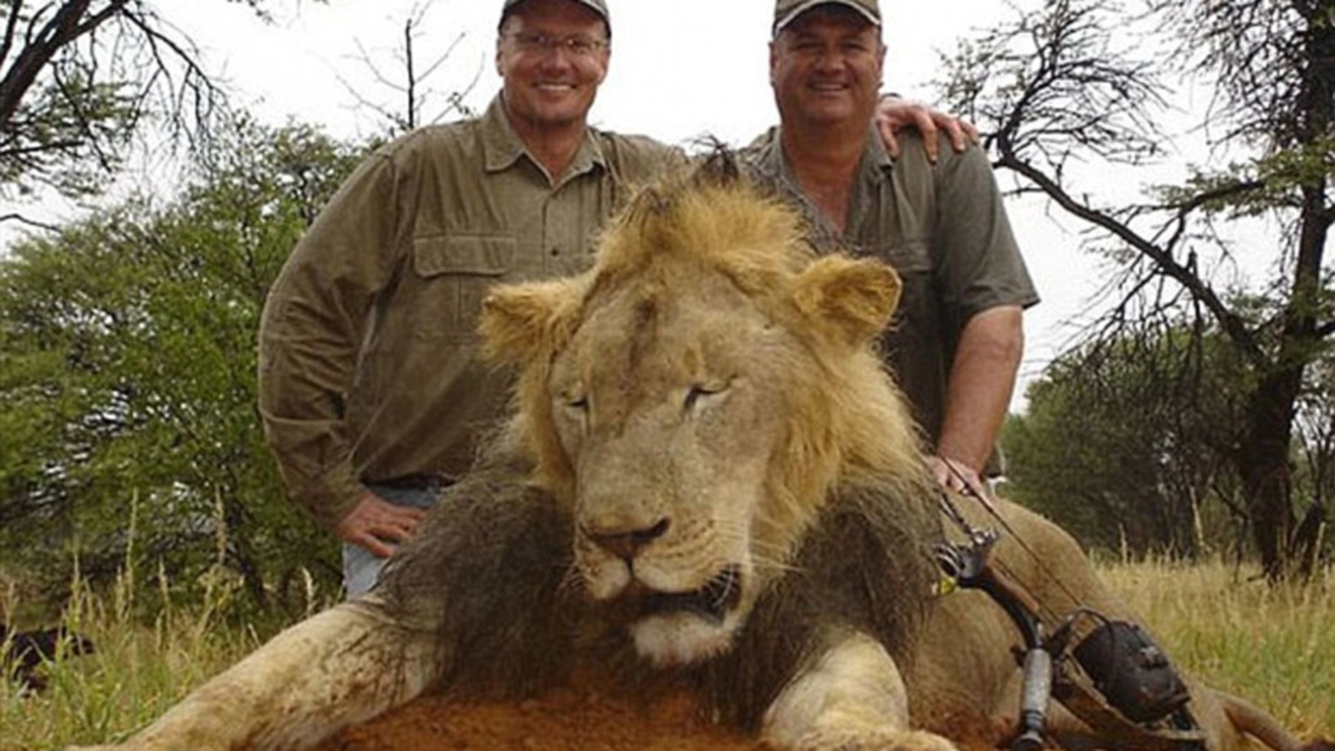 Amenazas de muerte contra el dentista que mató al león Cecil