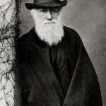 Devuelven una carta de Darwin robada por un becario