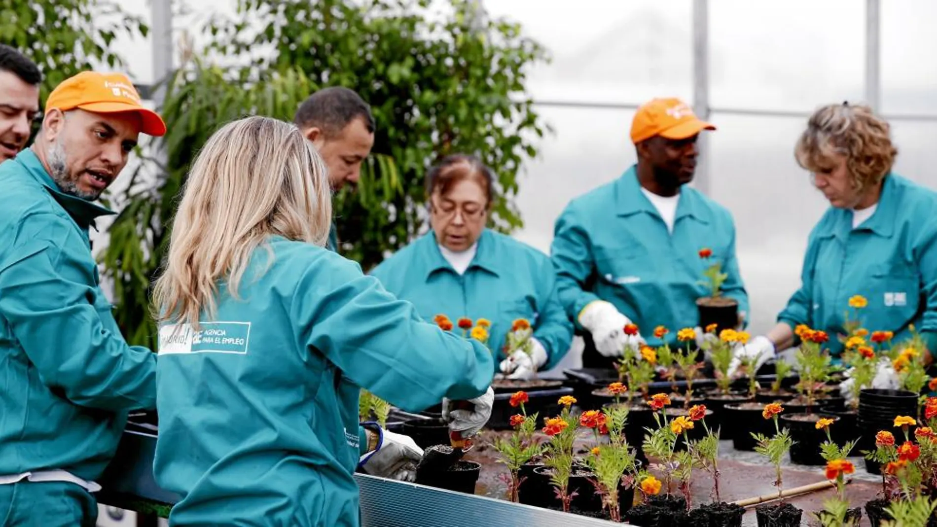 Jardineros y barrenderos forman parte del programa «¡Cuidemos Vallecas!» que ahora se pone en marcha en Centro