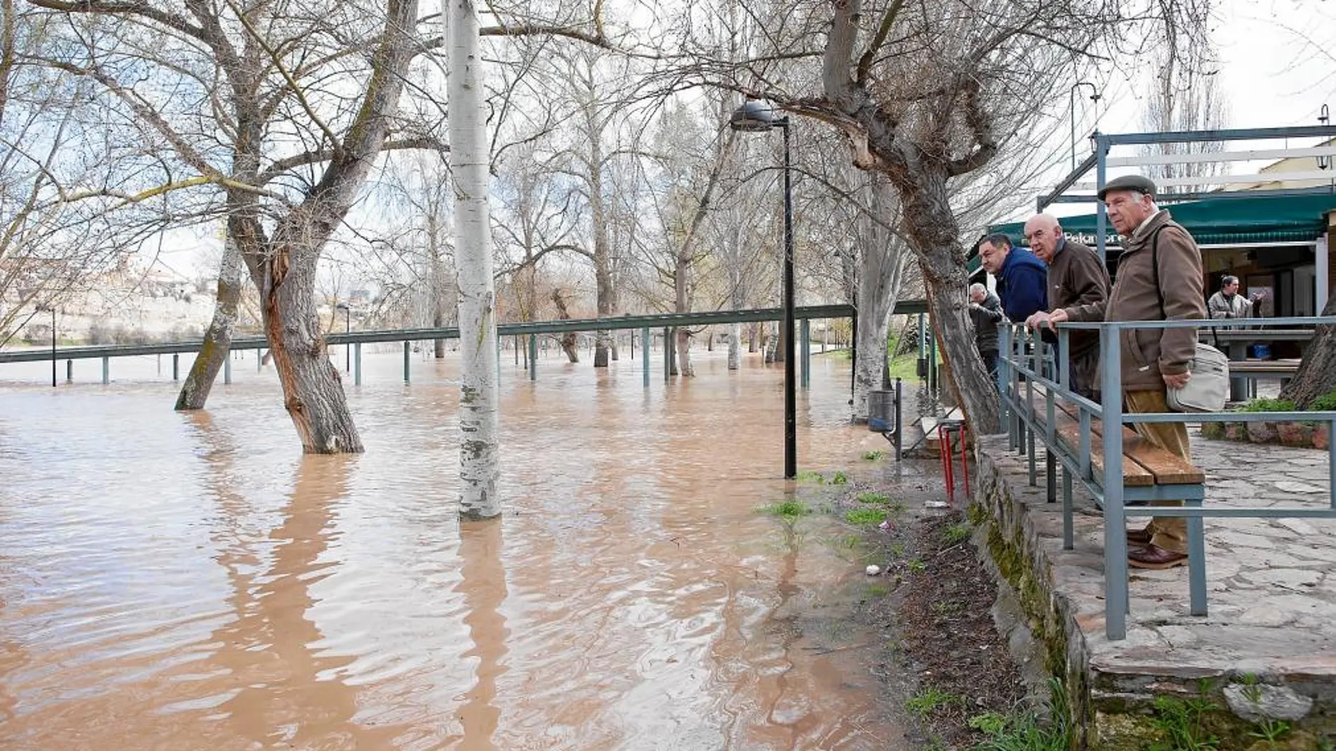 Varias personas observan el devenir del río en la capital zamorana