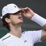 Reacción de Murray ante Querrey durante su partido de cuartos de final de Wimbledon