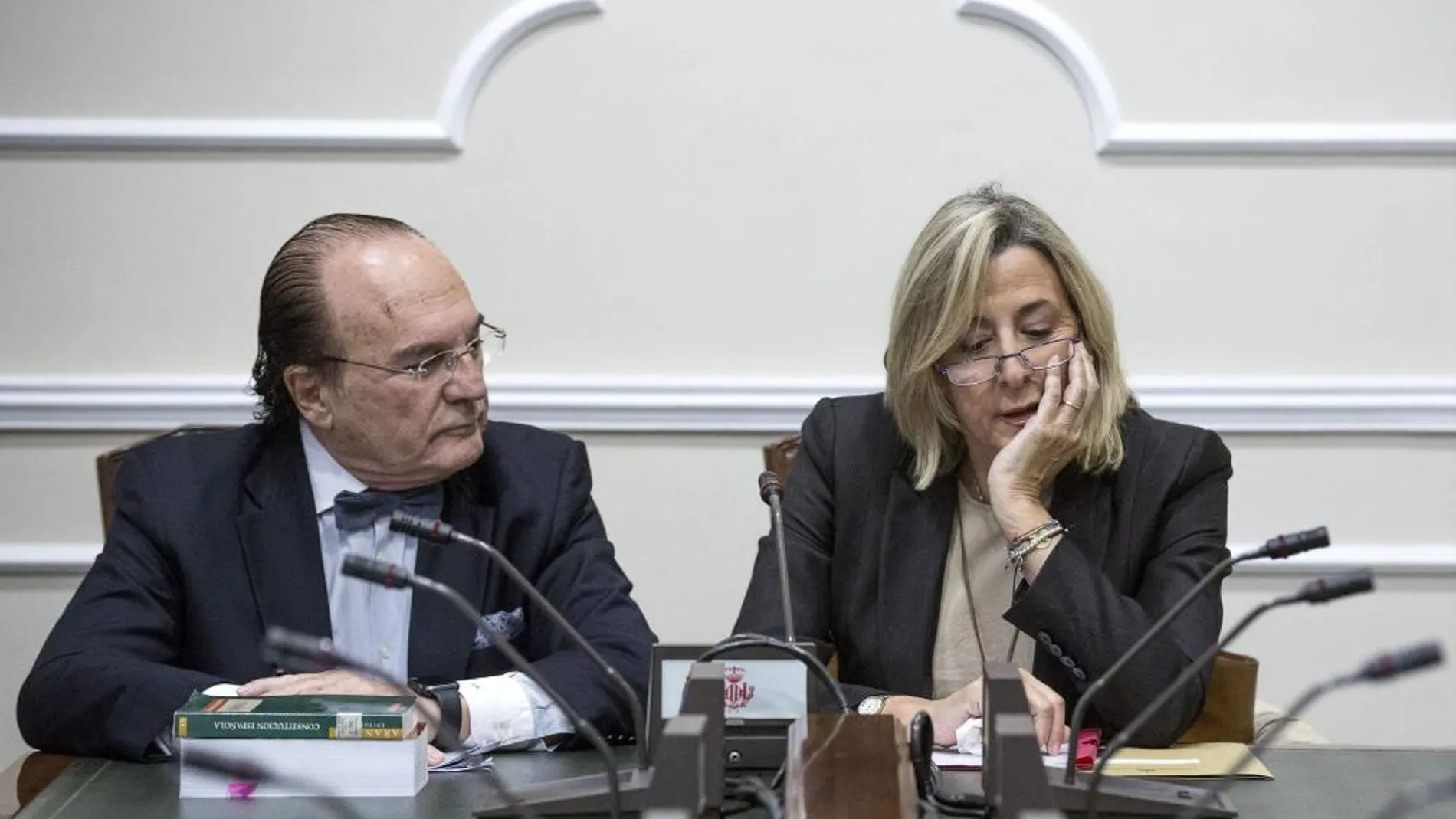 Asunción Barberá, hermana de la exalcaldesa de Valencia, conversa con su abogado en la comisión de investigación sobre la gestión del PP