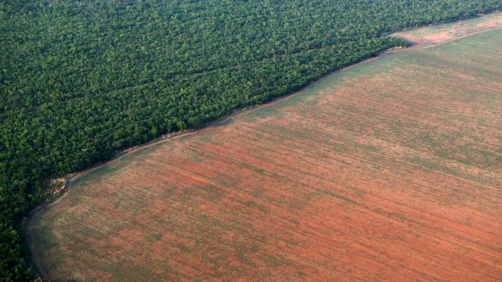 Brasil producirá un récord de 97,8 millones de toneladas de soja en 2015/16