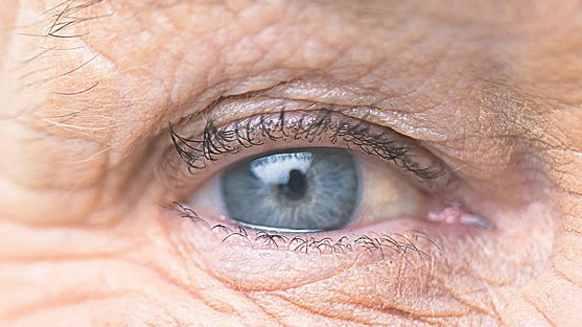 Un 54% de los españoles de más de 40 años sufre presbicia o vista cansada | Fotografía de archivo