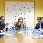 Pilar del Olmo preside una reunión reciente del grupo de trabajo sobre la financiación
