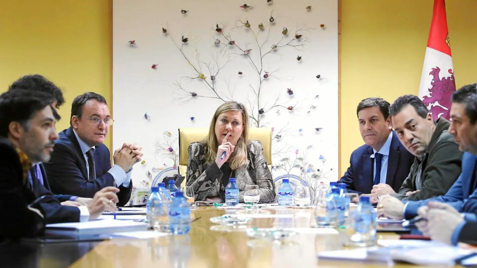 Pilar del Olmo preside una reunión reciente del grupo de trabajo sobre la financiación