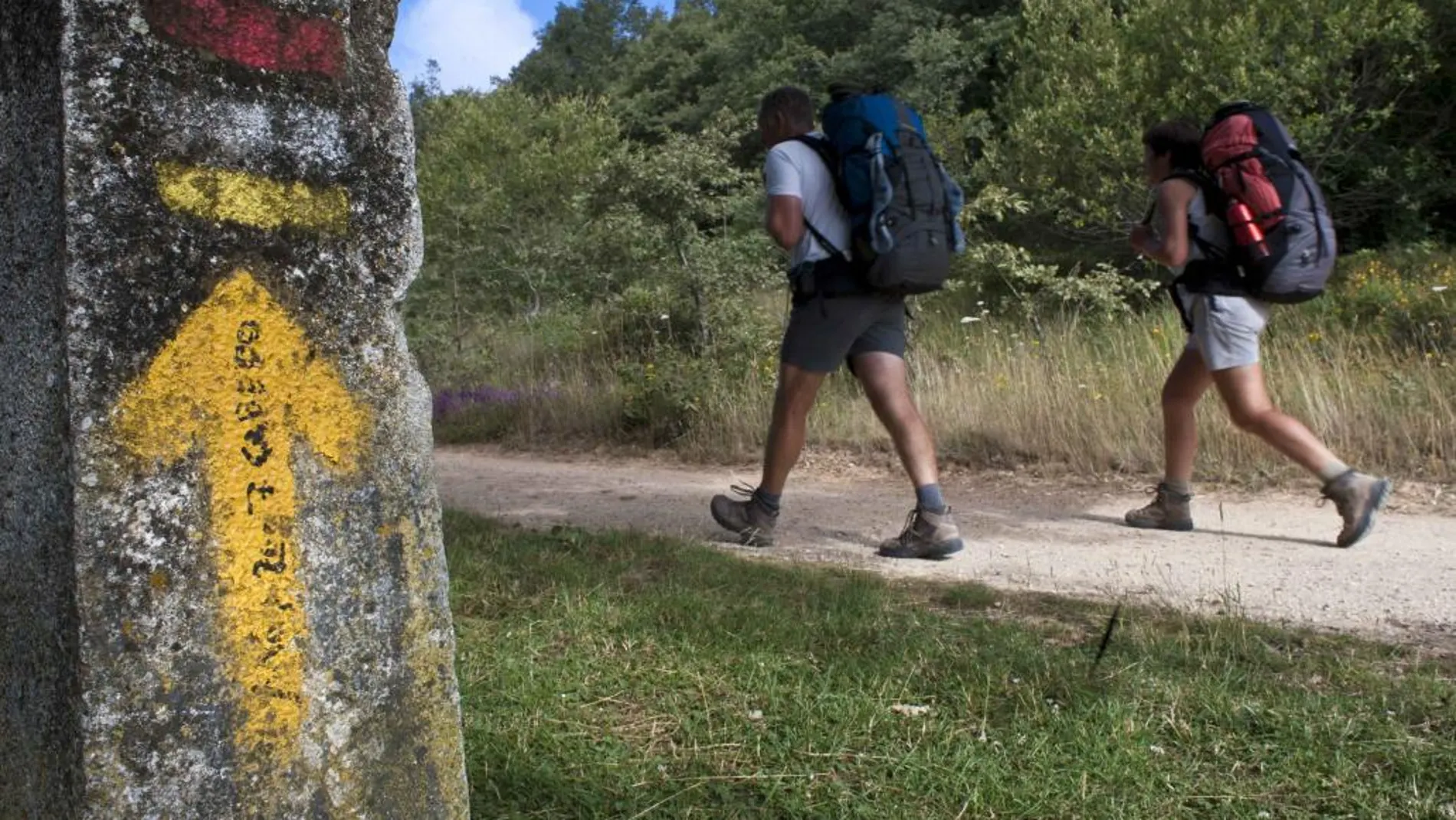 Peregrinos en el Camino de Santiago