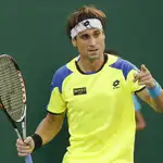  Ferrer, primer español cabeza de serie por delante de Nadal en el US Open