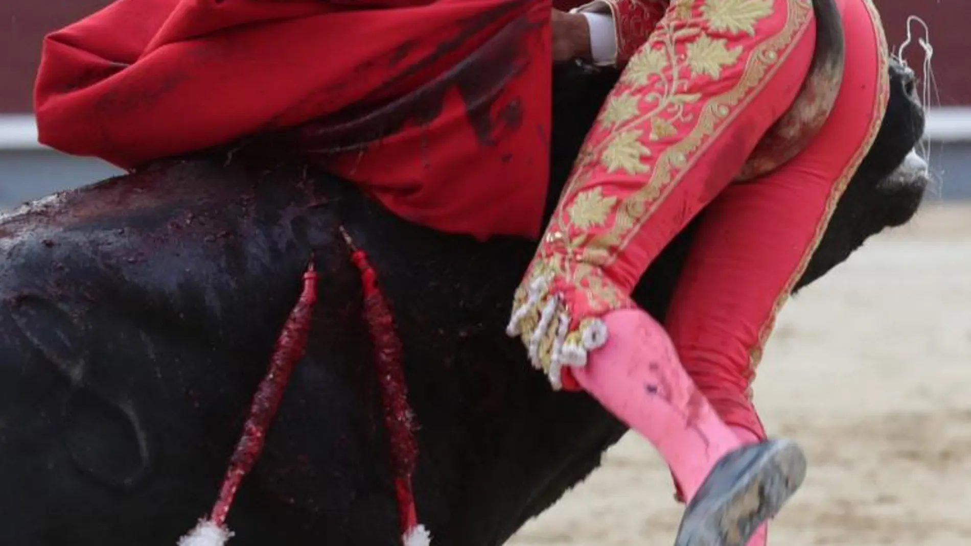 El diesto Francisco José Espada, es cogido por su primero "Gilbero", durante el festejo de la Feria de San Isidro hoy en la monumental de Las Ventas.