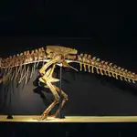  El meteorito que «remató» a los dinosaurios
