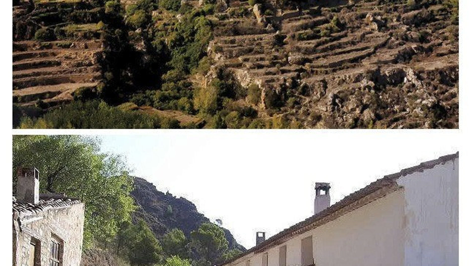 Imagen de la entrada a la finca en la que se produjeron los hechos