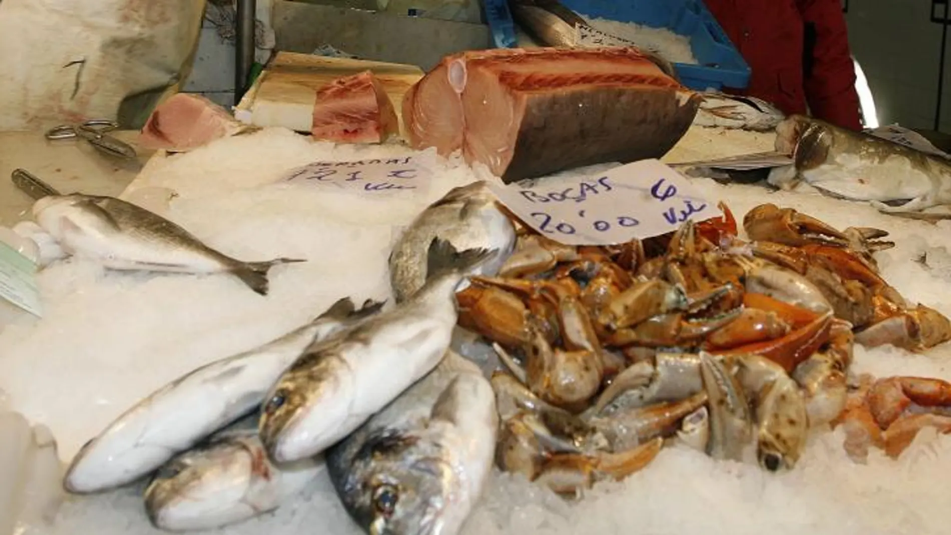Productos pesqueros en un mercado