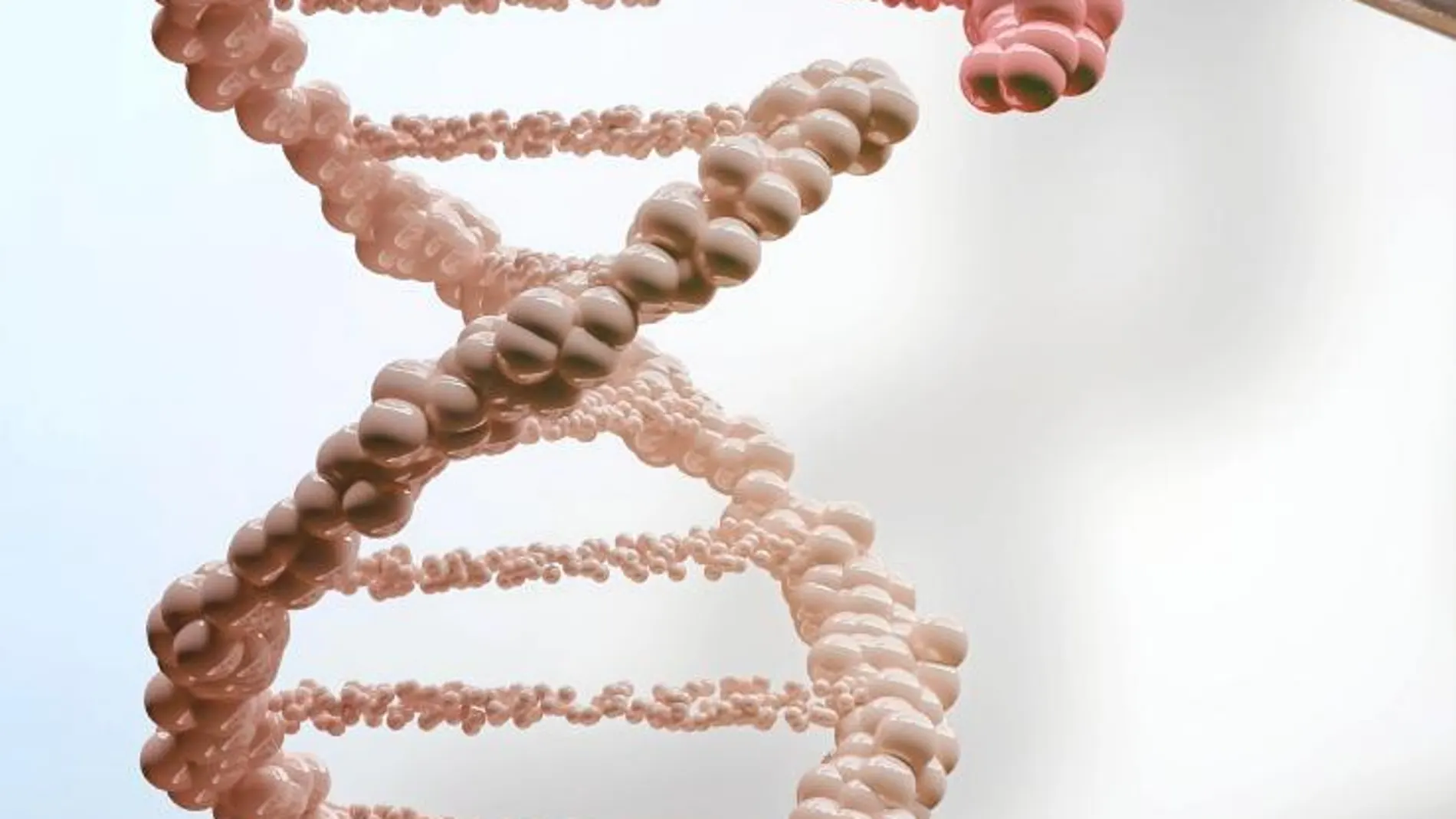 En la cadena de ADN, cada componente sigue un orden que aporta información a la célula.