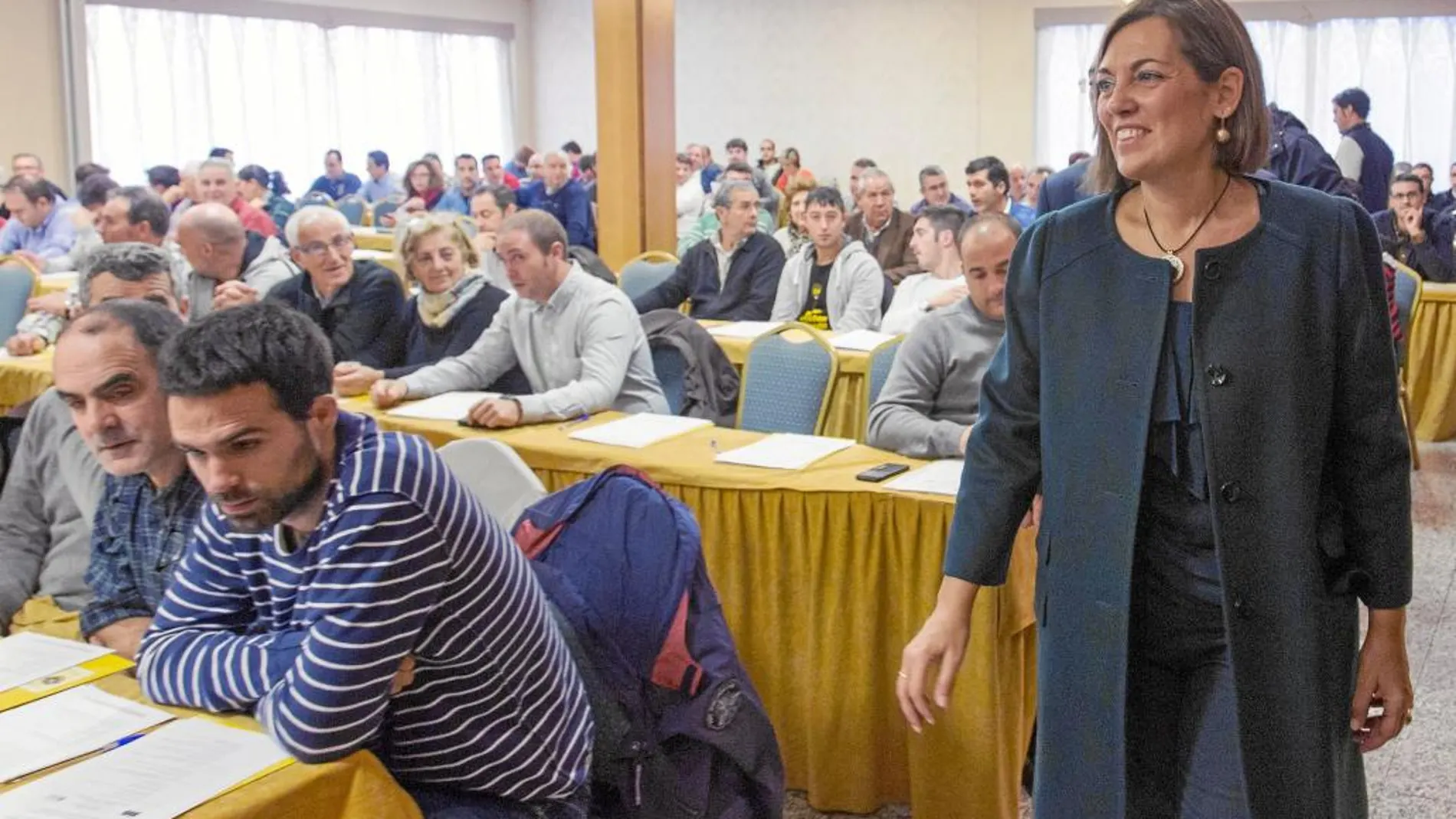 Ayudas de hasta 12.000 euros al año por apicultor para impulsar el sector