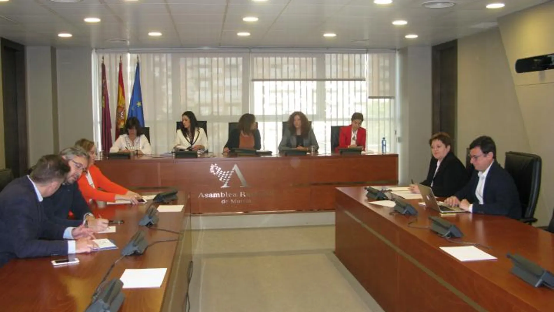 Comisión Especial contra la Discriminación y Violencia de Género