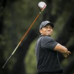 Imagen de archivo de Tiger Woods en 2012