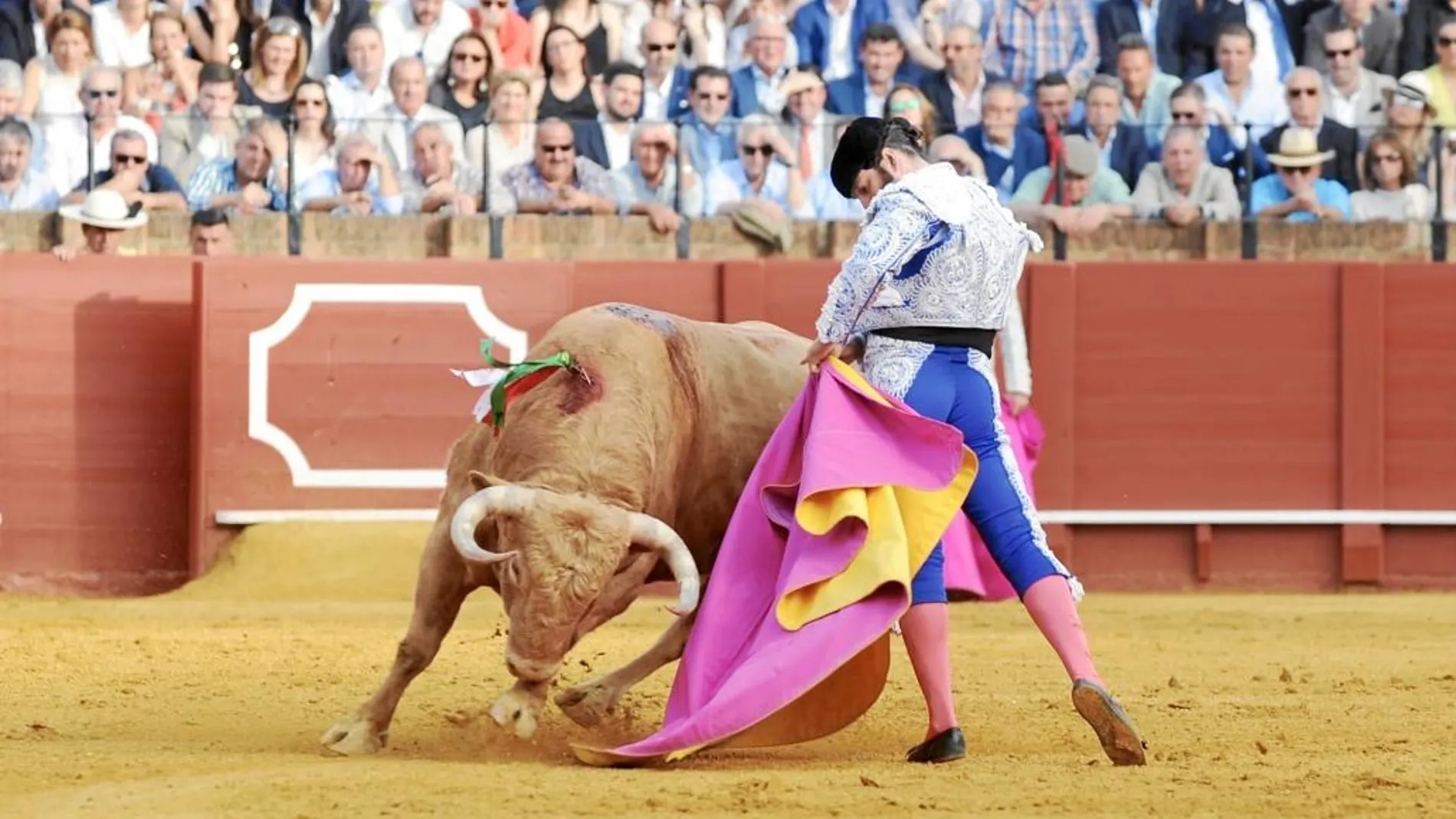 Media verónica de Morante en un quite al toro de Núñez del Cuvillo