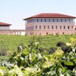 Rioja Vega mantiene intacta la filosofía de su fundador: crear vinos de máxima calidad respetando el terruño y la tradición riojana sin perder el respeto por el entorno