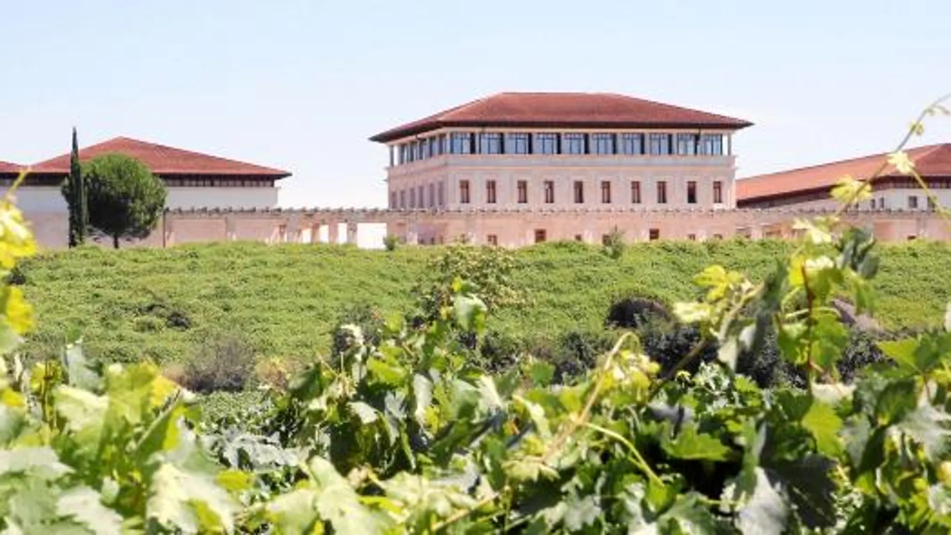 Rioja Vega mantiene intacta la filosofía de su fundador: crear vinos de máxima calidad respetando el terruño y la tradición riojana sin perder el respeto por el entorno