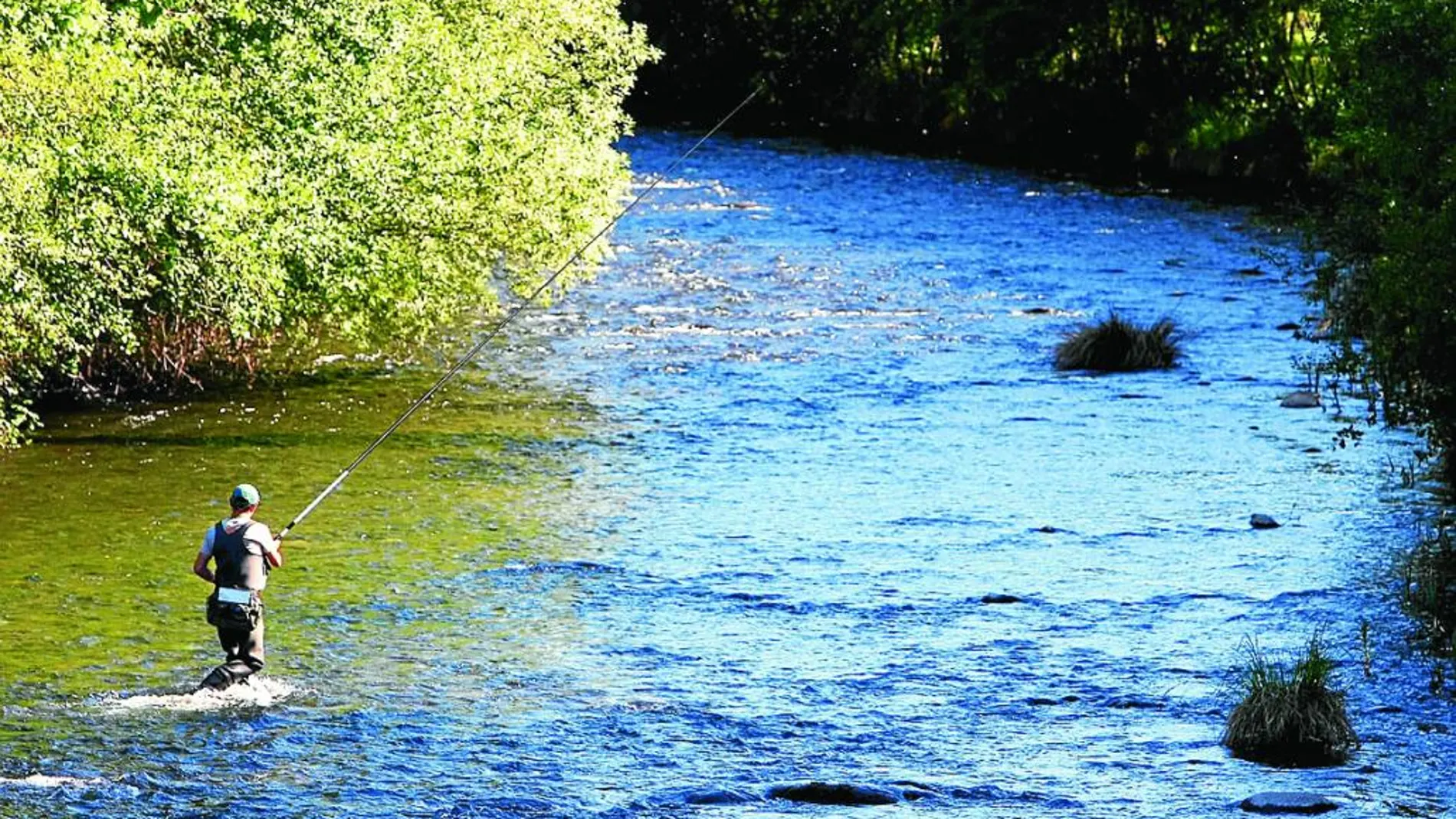 Un pescador en el río Sil a su paso por Ponferrada (León)