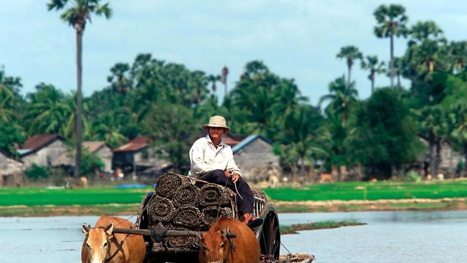 Camboya, uno de los países con mayor cantidad de agua contaminada por pesticidas