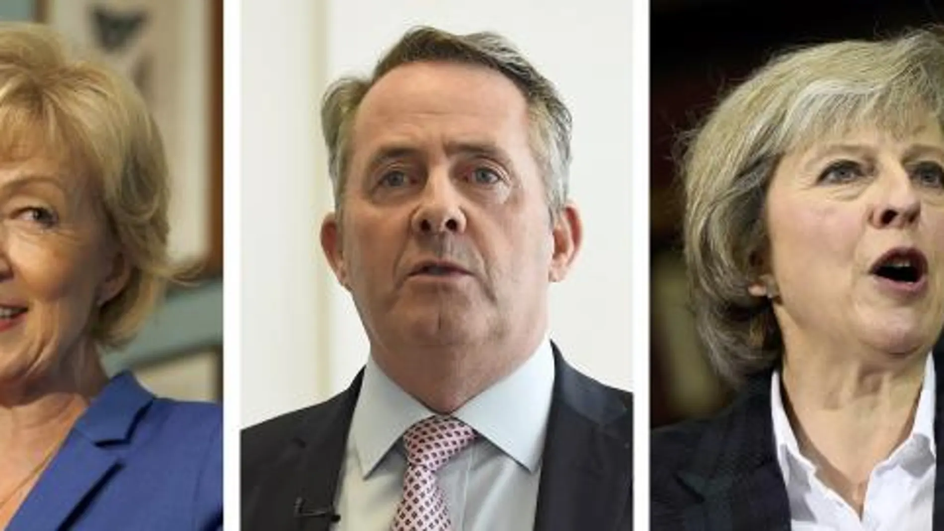 Stephen Crabb, Andrea Leadsom, Liam Fox, Theresa May and Michael Gove