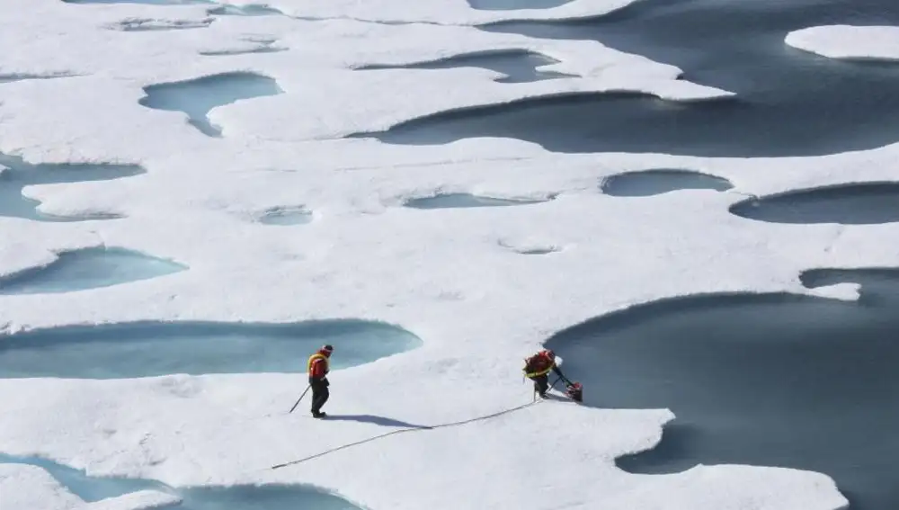 El oceano Ártico está cubierto por capas de hielo que no dejan pasar la luz, lo que condiciona la vida del lecho marino.