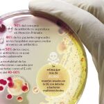 Los antibióticos ya no pueden con la salmonela