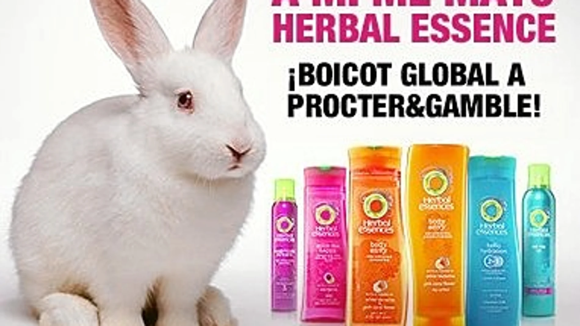 Procter & Gamble es una de las compañías multinacionales que hasta la fecha continúa realizando ensayos cosméticos con animales