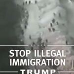 Captura del vídeo de Donald Trump