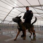 Un policía austrisaco patrulla en un puesto fronterizo con Eslovenia