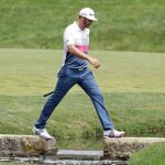 Dustin Johnson