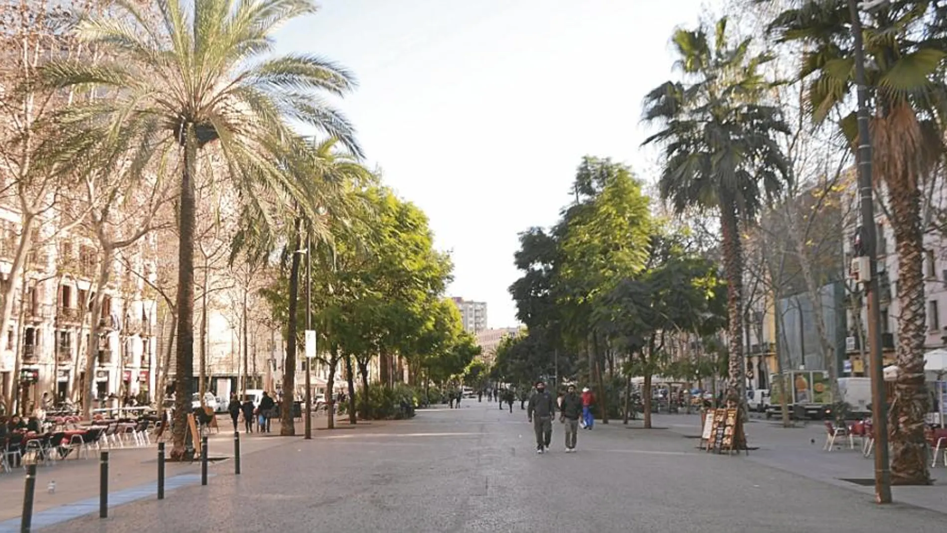 Las fincas están ubicadas en las calles Robador, Sant Ramon y Espalter.