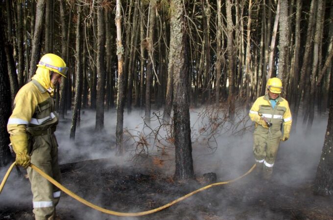 Dos agentes trabajan en la extinción de un incendio en Castilla y Léon.