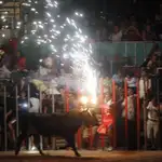 Festejo del toro embolado. Imagen de archivo