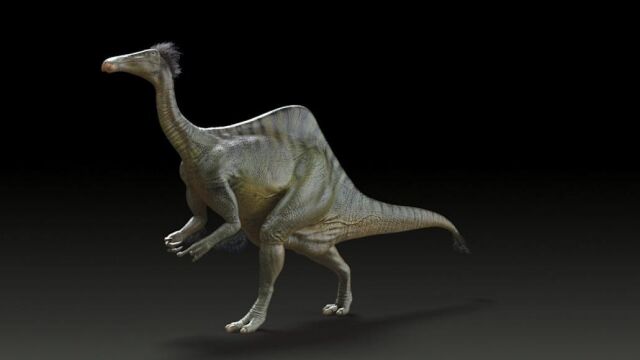 Reconstrucción de un Deinocheirus mirificus, una de las últimas especies de dinosaurio de la que se han hallado fósiles