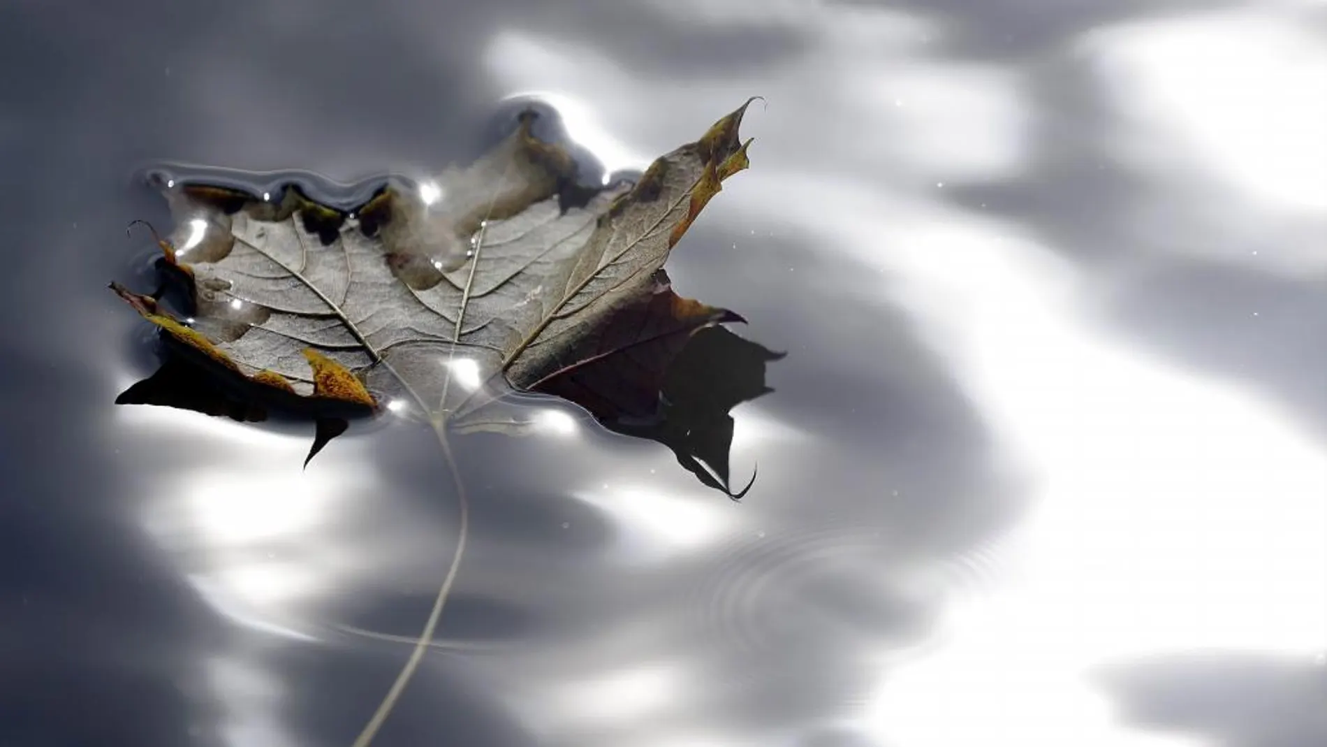 El inicio del otoño se produce cuando el día se acorta hasta durar lo mismo que la noche