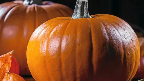 Calabazas, uno de los símbolos tradicionales en Halloween